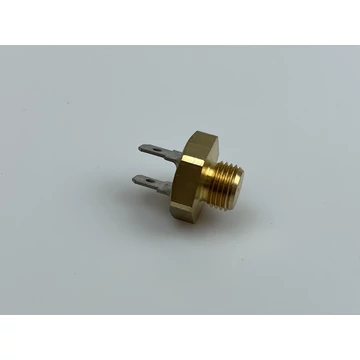 Saunier Duval Thema Condens NTC 0020075718