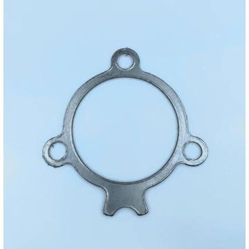 Saunier Duval Thema/Isotwin égő tömítés 0010036498