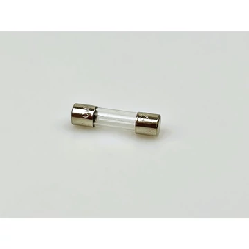 Üvegbiztosíték 2,5 A 250V 5x20 mm 12379