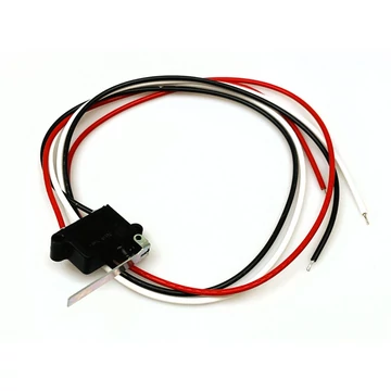 Immergas mikrokapcsoló 1.010420